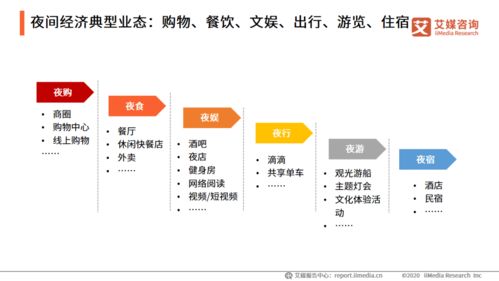 2020年中国夜间经济发展监测及典型城市案例分析报告