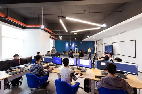 高招直通车 探访郑州升达经贸管理学院 产教融合实训基地培育经济贸易咨询新人才